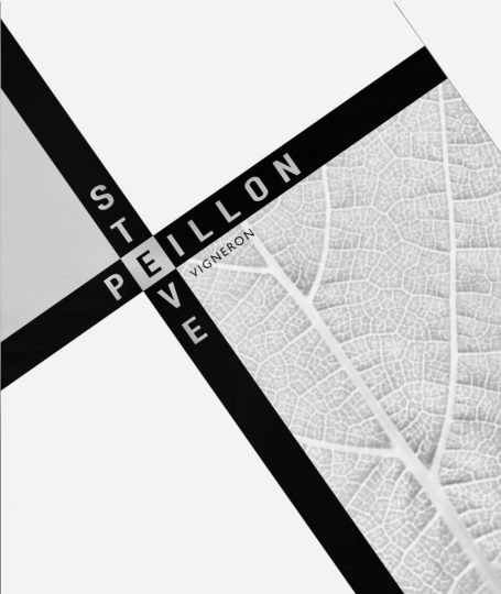Steve Peillon